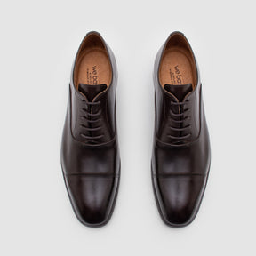 Sapato Masculino Oxford - Ferrari Café